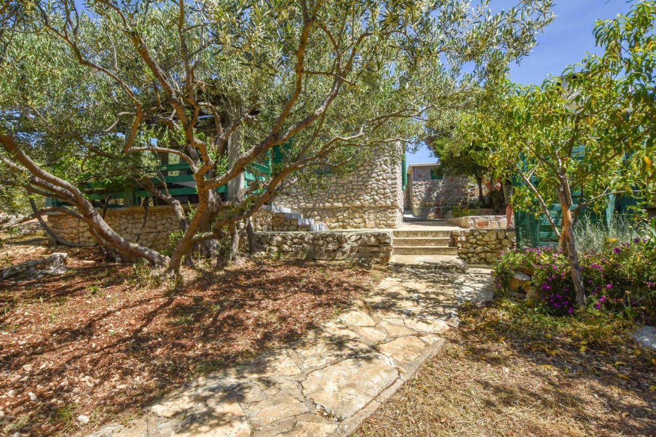 House Oliva Villa Tkon Luaran gambar